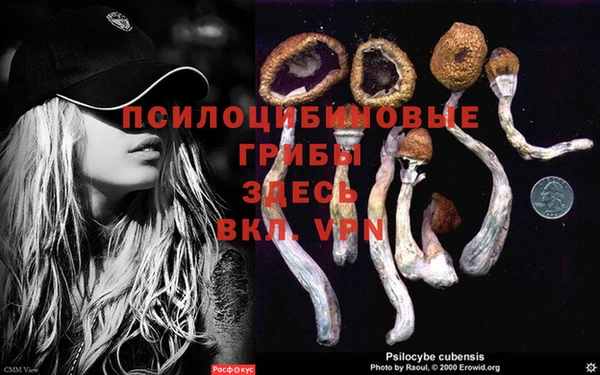 Альфа ПВП Армянск