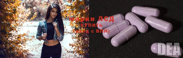 тгк Алзамай