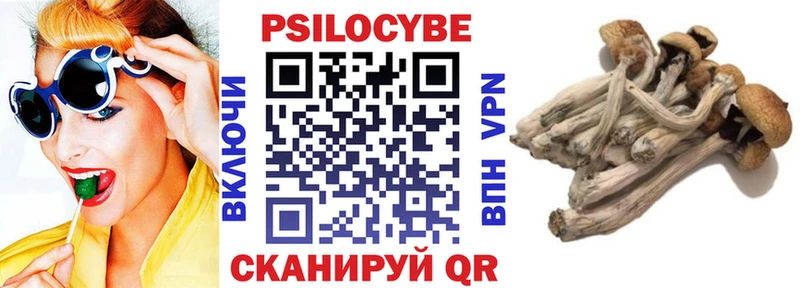 ссылка на мегу зеркало  Трёхгорный  Галлюциногенные грибы Psilocybine cubensis 